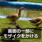 画面の一部にモザイクをかける