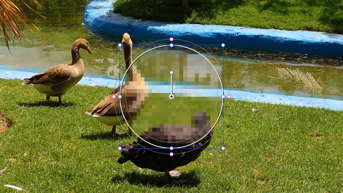 一部にモザイクがかかった