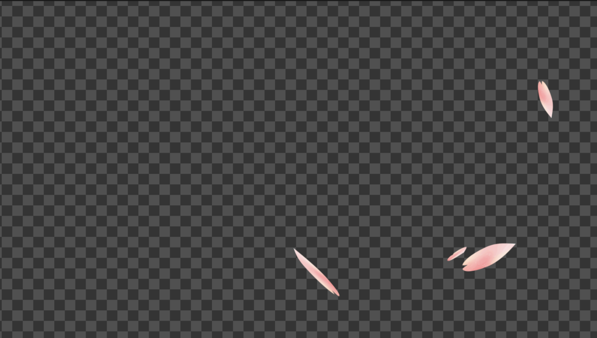 桜の花びらが舞う