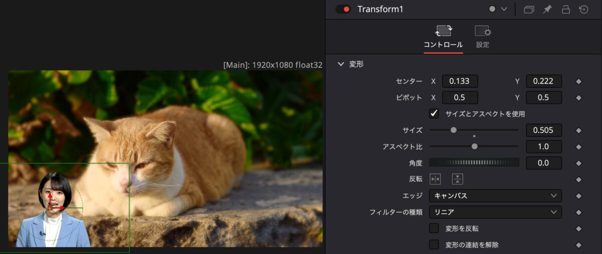 女性と猫の合成