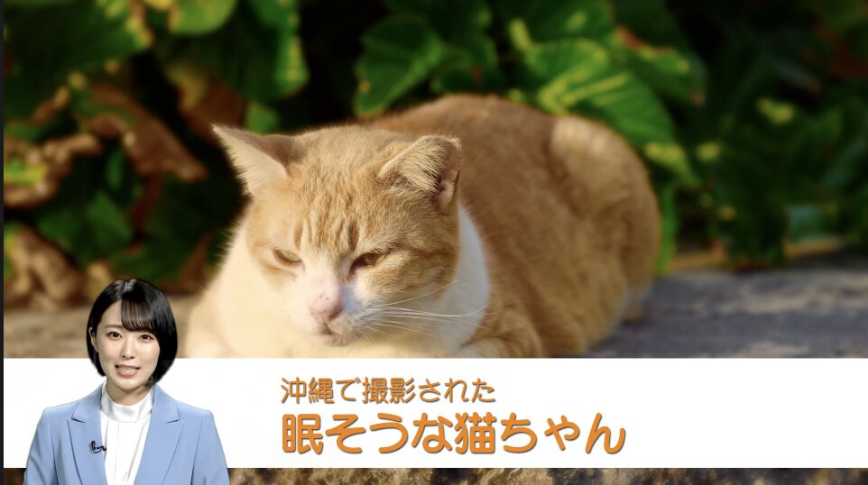 エディットページで合成